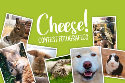 Cheese! Il contest fotografico per chi ama gli animali thumb